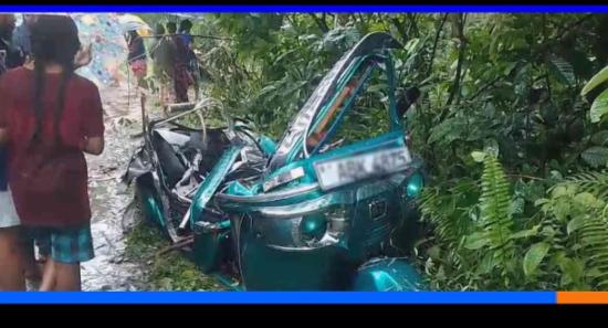 ත්‍රීරෝද රථයක් මතට ගසක් කඩා වැටීමෙන් 3ක් මරුට...